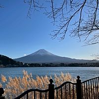 默君